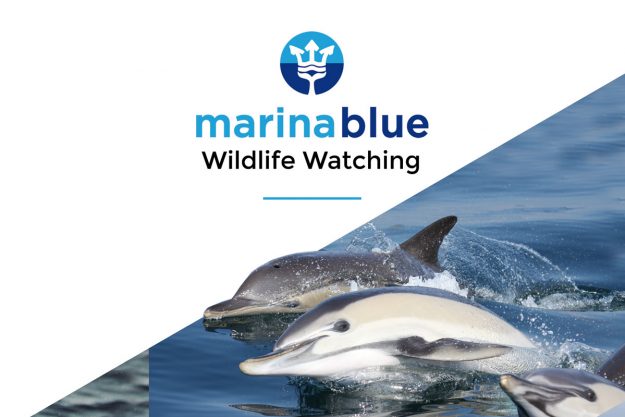 Publicidad Marina Blue