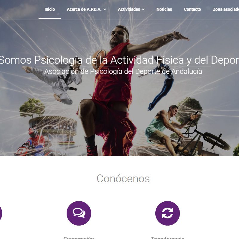 portf-dest-pdandaucia Web Psicólogos del Deporte Andalucía